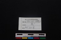 梅花鹿骨藏品圖，第3張