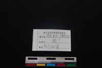 梅花鹿骨藏品圖，第3張