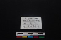 梅花鹿骨藏品圖，第3張
