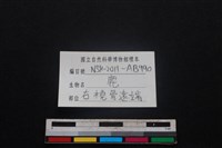 梅花鹿骨藏品圖，第3張