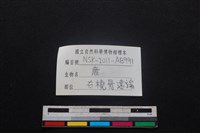 梅花鹿骨藏品圖，第3張