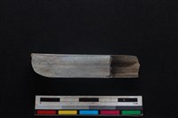 梅花鹿骨藏品圖，第1張