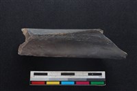 梅花鹿骨藏品圖，第1張