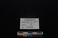 梅花鹿骨藏品圖，第4張