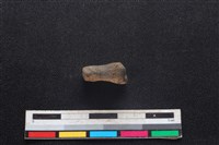 豬骨藏品圖，第1張