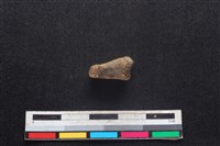 豬骨藏品圖，第2張