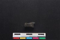 豬骨藏品圖，第2張