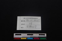 豬骨藏品圖，第3張