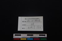 豬骨藏品圖，第5張