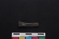 豬骨藏品圖，第2張