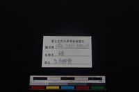 豬骨藏品圖，第3張
