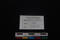 豬骨藏品圖，第3張