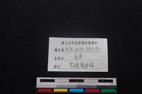豬骨藏品圖，第3張