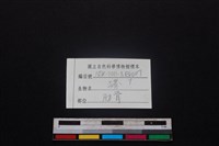 豬骨藏品圖，第3張