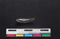 豬骨藏品圖，第2張