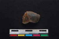 豬骨藏品圖，第1張