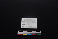豬骨藏品圖，第3張