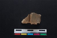 豬骨藏品圖，第2張