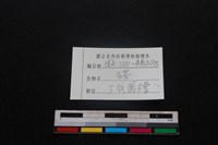 豬骨藏品圖，第4張