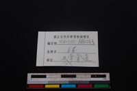 豬骨藏品圖，第3張