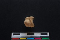 豬骨藏品圖，第1張