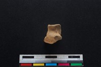 豬骨藏品圖，第4張