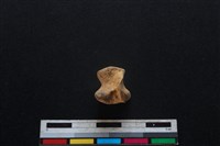 豬骨藏品圖，第4張