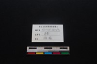 豬骨藏品圖，第4張