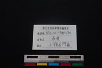 豬骨藏品圖，第3張