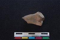 豬骨藏品圖，第1張