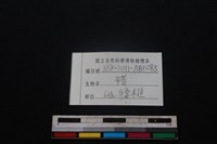 豬骨藏品圖，第3張