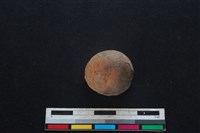 豬骨藏品圖，第1張