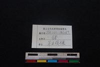 豬骨藏品圖，第3張