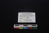 豬骨藏品圖，第3張