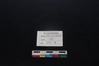 豬骨藏品圖，第3張