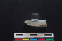 豬骨藏品圖，第1張