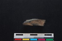 豬骨藏品圖，第2張