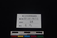 豬骨藏品圖，第4張