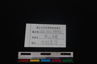偶蹄目骨藏品圖，第3張