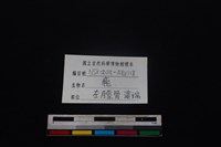 梅花鹿骨藏品圖，第3張