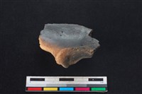 梅花鹿骨藏品圖，第2張