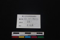 豬骨藏品圖，第3張