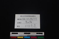 鹿科骨藏品圖，第3張