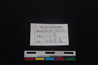 山羌骨藏品圖，第3張
