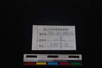 山羌骨藏品圖，第3張