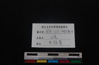 山羌骨藏品圖，第3張