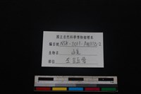 山羌骨藏品圖，第4張