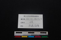 山羌骨藏品圖，第3張