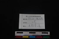 山羌骨藏品圖，第3張