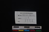 山羌骨藏品圖，第3張